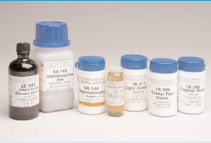 Biological Stains and Dyes
